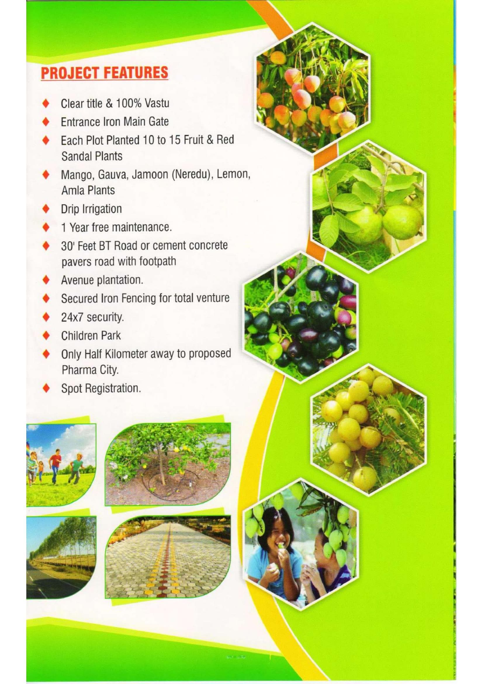 Amrutha Fruit Gardens project features with orchard photography
