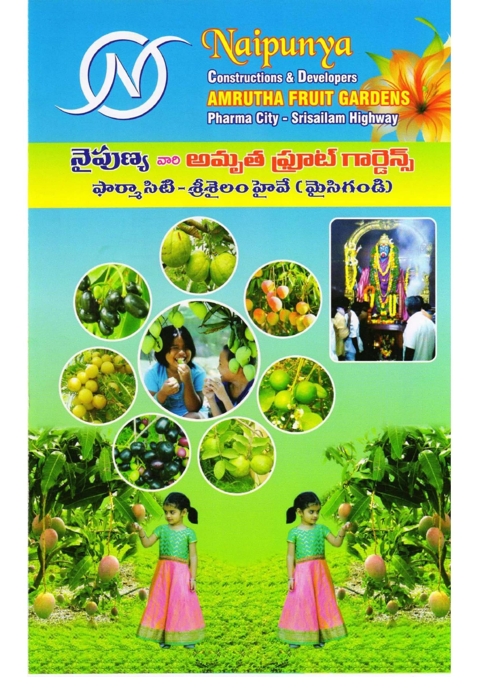 Amrutha Fruit Gardens brochure cover with fruit orchard photography