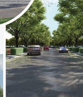 Tree-lined avenue road within one of our developments