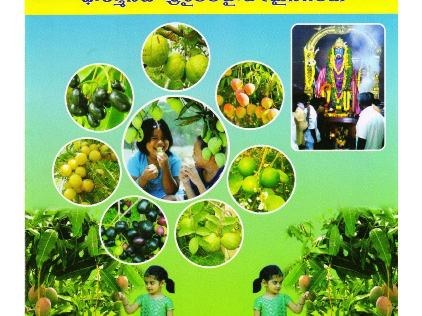 Circular photo collage of mango, guava, amla, and jamoon plants at Amrutha Fruit Gardens