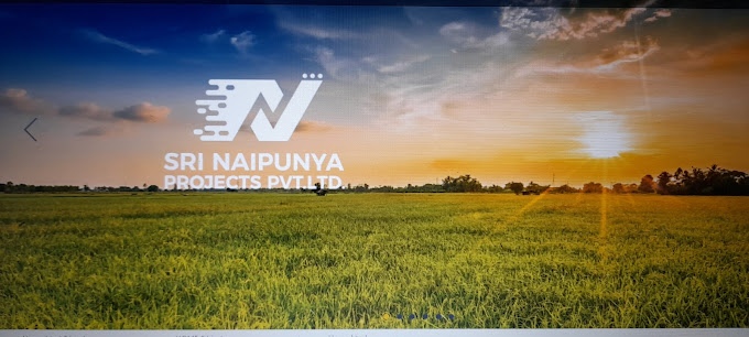 SRI NAIPUNYA PROJECTS PVT LTD.